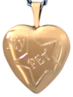 Star Pet heart locket