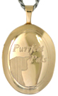 gold cat oval locket