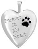 L5228 forever in my heart pet cremation locket