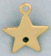 M116 Star Charm
