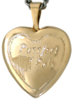 Purrrfect pals cat locket