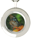 L1078 Butterfly Locket